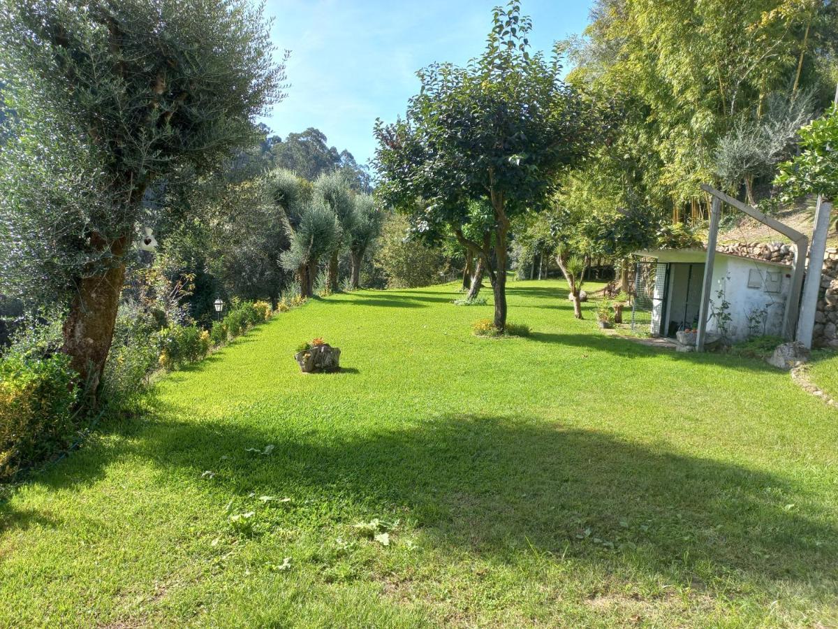 Quinta Do Ribeiro Vila Arcos de Valdevez Exterior foto